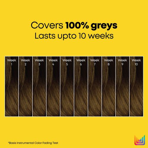 Wonder Color - QuickOrder | L'Or&eacute;al Partner Shop